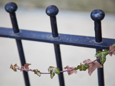 Just try to fence out nature.