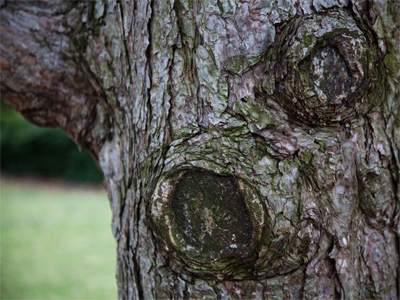 Oh knot another boring photo!