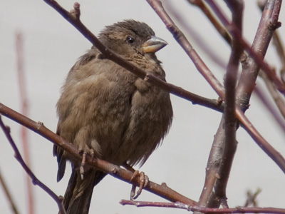 Congratulations to both of us for making it through winter.