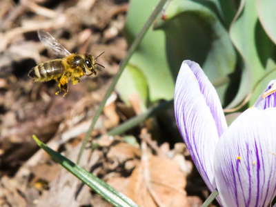 I took my new camera outside for the first time today.