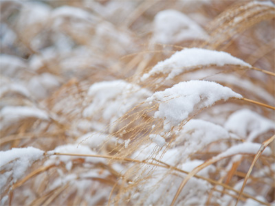 Not much else to take pictures of today.