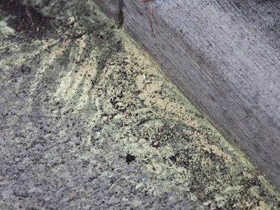 Oh look, here`s some pollen that hasn`t gone up my nose.