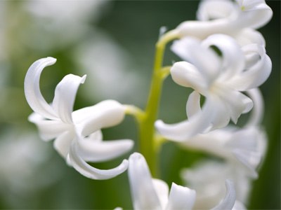 It`s not too early to start thinking about wedding gifts.