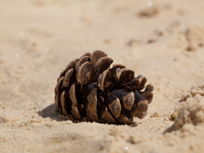 Let`s see, I should change my camera to Beach Scene mode to take this picture.