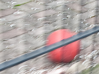 This picture accidentally turned out well.