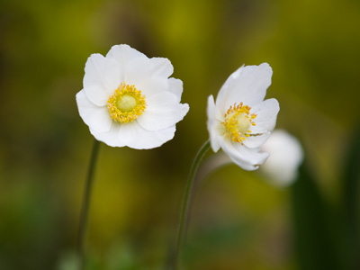 Tiny treasures by the laundry room.