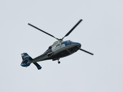 The fragility of life -- airborne edition.