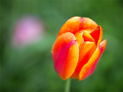 I hate to disillusion you, but I take these pictures for myself.