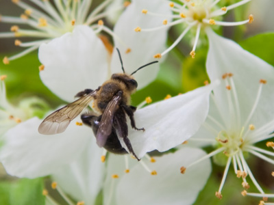 Don`t bother them.  They work for you.