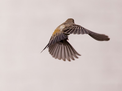 Change of direction.