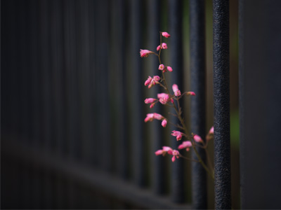 There should be a crowd saying `Ooohh` and `Aaahh!`  There should be a band playing John Philip Sousa.