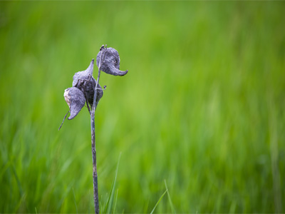 Put down the 3D glasses, go outside and use your eyes.