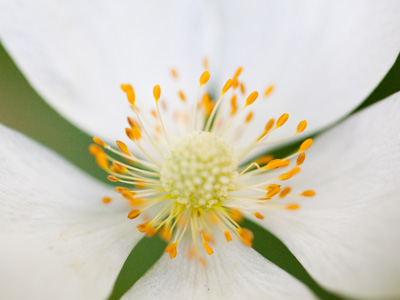 It`s not quite summer, but a good day to stay in the shade.