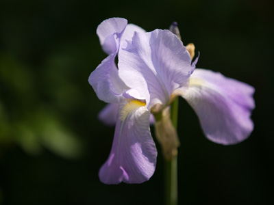 Are you coming to my Nature Photography workshop tomorrow?