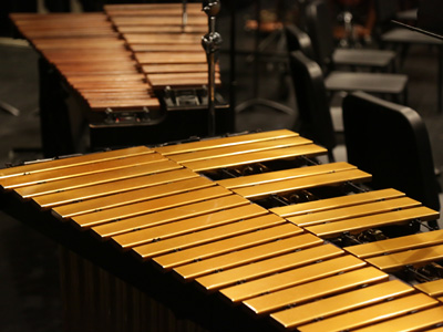 What the percussionist saw.