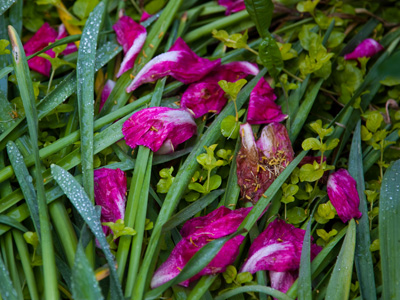 Taking photos every day has improved my perception.  Sometimes I take pictures that other people really like.