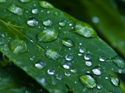 Having gone this long, I don`t foresee that I will choose to stop taking pictures every day.  However, circumstances beyond my control will someday make that choice for me.