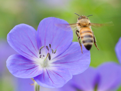 `Target in sight.  I`m going in.`