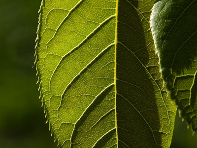 Contemplating what`s happening in this little space is more significant than any show on TV or task at work.