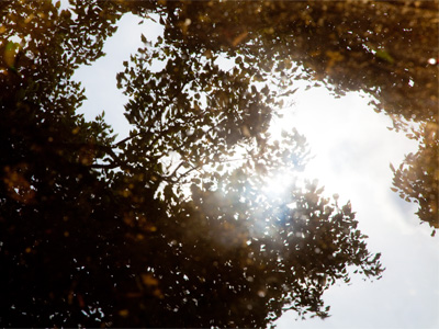 No drought this year, right?