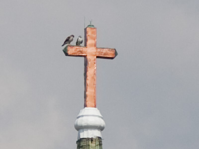 I don`t know what those workmen have been doing to the steeple, but it looks like the cross is no longer translucent (see July 2, 2007).  And no, those aren`t pigeons up there.