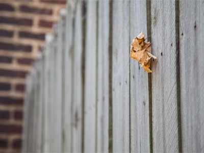 A Rule of Thirds lesson waiting to happen.