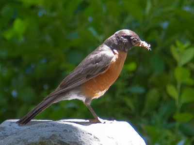 If we had to catch our food, we`d all be in good shape.