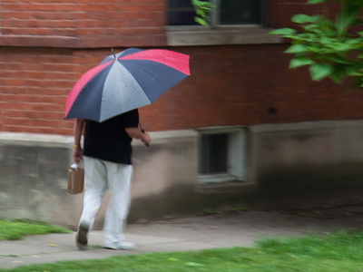 Umbrellas are now a necessary wardrobe accessory.