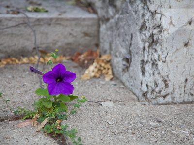 To be alone is not to be lonely.