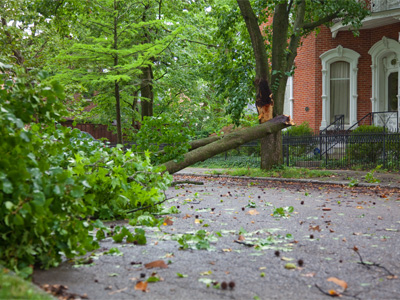 Fortunately my freshly painted car was not underneath it.
