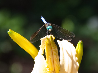 Here`s looking at you.