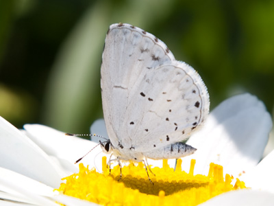I helped nature out a little bit here by using my flash.