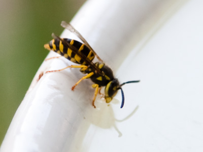 In hot weather, it`s important to drink lots of fluids.