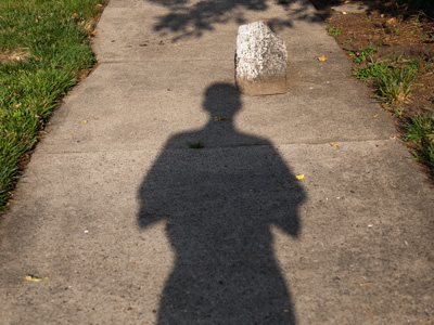 Walking to work this morning, I hit my head on a rock.