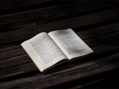 `Kinsman,` a novel by Ben Bova, on a sidewalk bench.