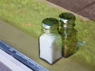 Does anybody else see the things that I see?