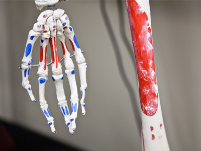 Allow me to give you a hand.