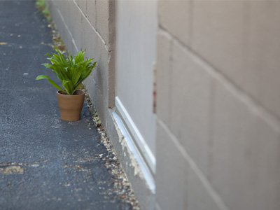 We all need a little fresh air sometimes.