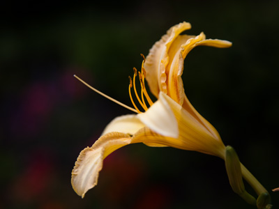 This shot didn`t take as long as the one on July 28, 2013.