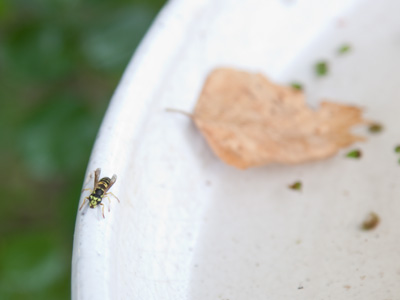 `Thanks man, I don`t know what I would`ve done if you hadn`t come by.  I just need to catch my breath a minute.`