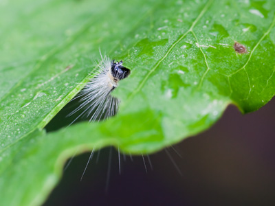 Sometimes I even impress myself with what I can see.