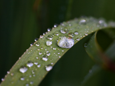 A shot like this should be a bit dark, or else the water droplets look like glowing white blobs.