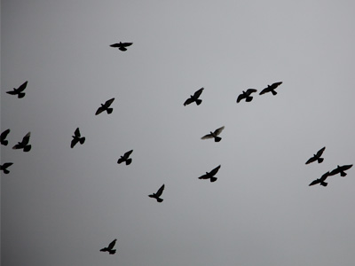 Labor Day:  the sun took the day off.