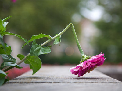 I`ve felt that way sometimes.