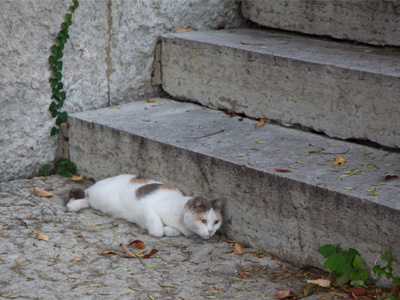 Please wipe you feet on the mat before coming upstairs.
