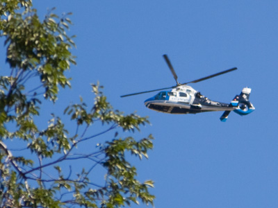 Returning to its nest.