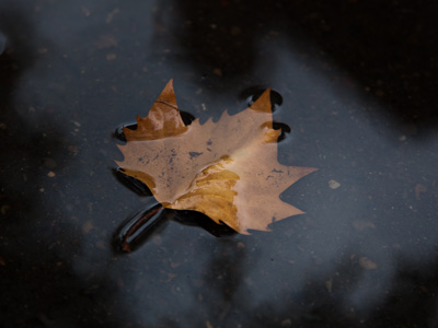 This was AFTER I got soaked by the rain.