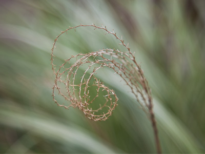 What goes around comes around.