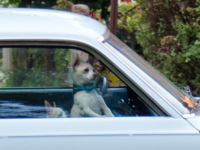 `You are NOT leaving me in here.`