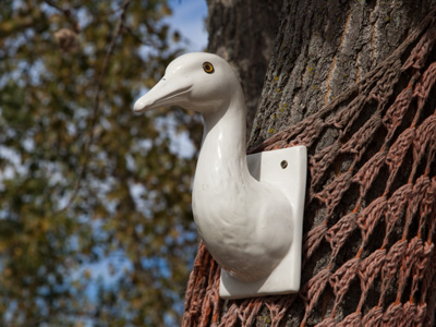 I usually don`t see ducks in trees.